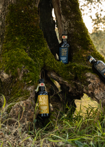 Come riconoscere un olio extravergine di oliva (EVO) di qualità