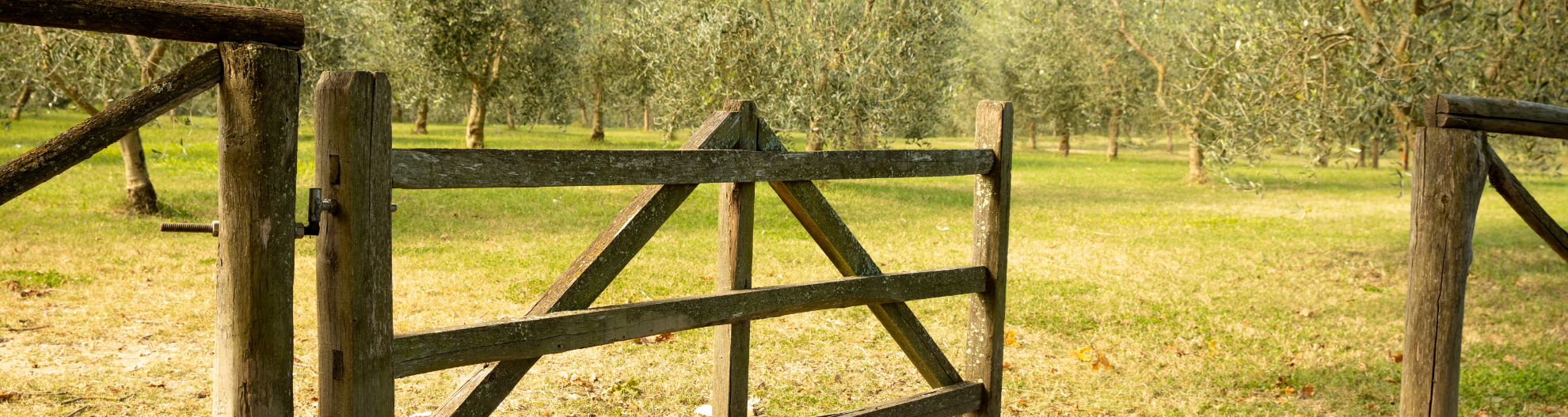 Cancello dell’uliveto