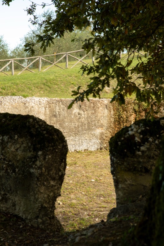 Paesaggio e rovine nell’uliveto