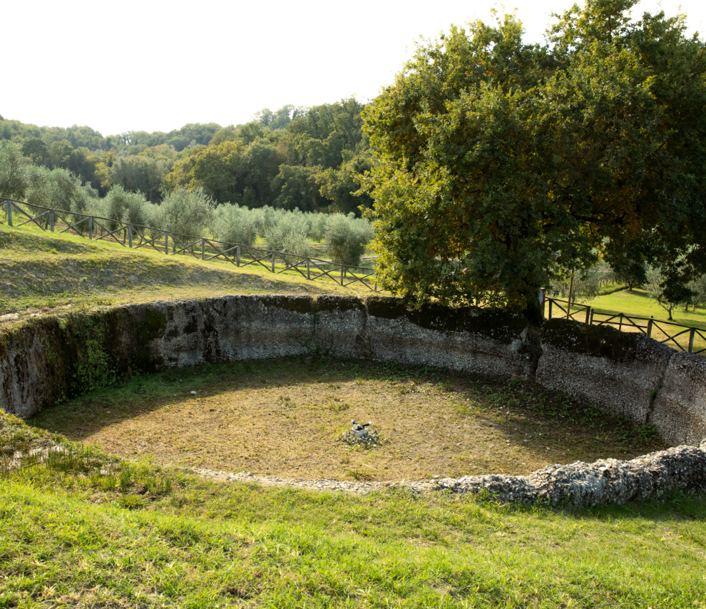 Vasca romana nell’uliveto